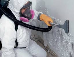 Best Water Damage & Mold Remediation  in Watsontown, PA